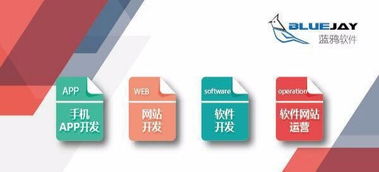 昆明軟件開發(fā)與App開發(fā) 專業(yè)技術(shù)驅(qū)動(dòng)的創(chuàng)新之道