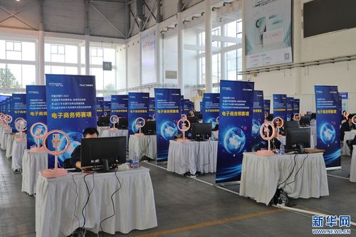 技術與匠心 第五屆全國電子信息服務業職業技能競賽滄州啟幕